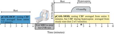 Comparing single- and multi-post labeling delays for the measurements of resting cerebral and hippocampal blood flow for cerebrovascular testing in midlife adults